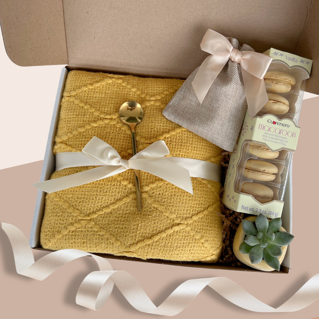 Sending Sunshine Get Well Care Package for Women, Gift Box with Blanket, Gift box with Succulent, Bestie Gift Basket, Gifts for Her Comfort