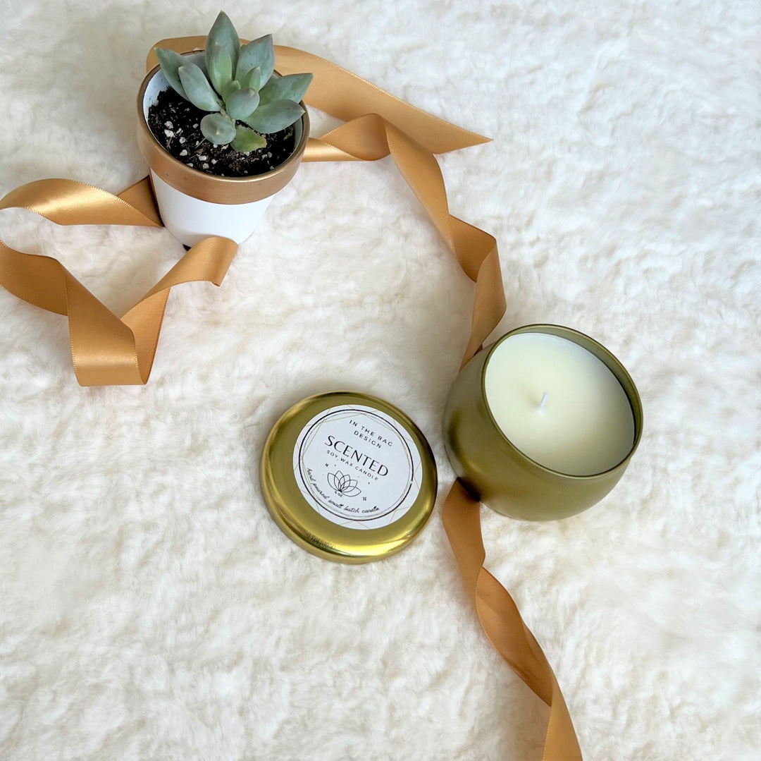 Gift Basket with Blanket, Sending Healing Vibes Gift Box for Women, Succulent, Socks, Candle, Get Well Gift for Her, Thinking of You Gift