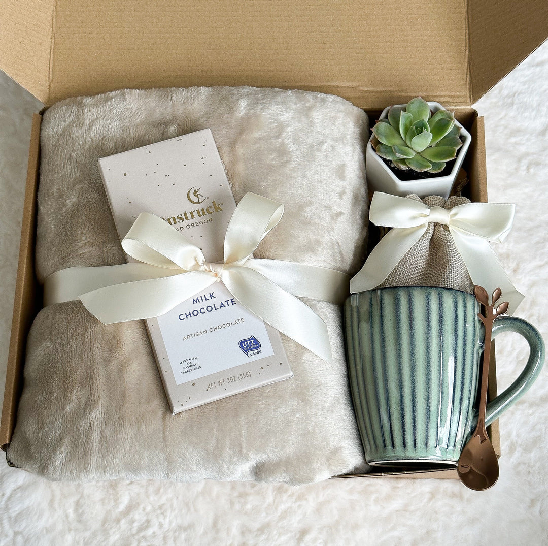 Self Care Gift Box, Care Package for Her, Succulent Gift Basket, Thinking of You Gift Idea, Sympathy Gift Basket, Hygge Gift for Mom - In The Bag Design