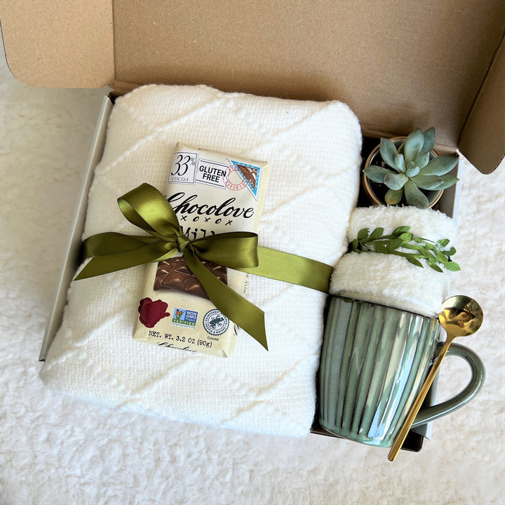 Thinking of You Care Package for Women, Gift Basket with Blanket for Men, Succulent Gift Box, Get Well Gift Box for Her, Gift box for Him - In The Bag Design